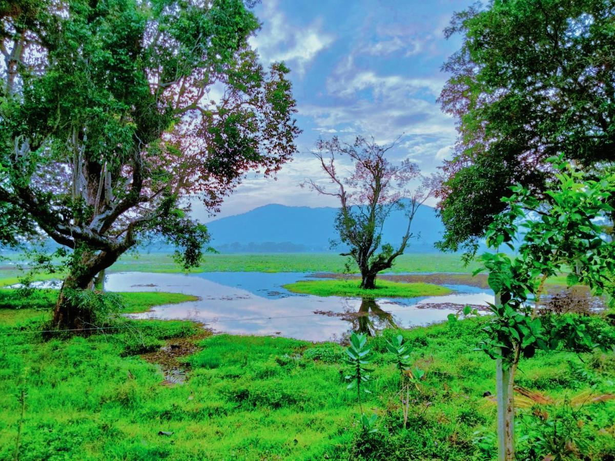 Lake Front Yala Safari Катарагама Экстерьер фото