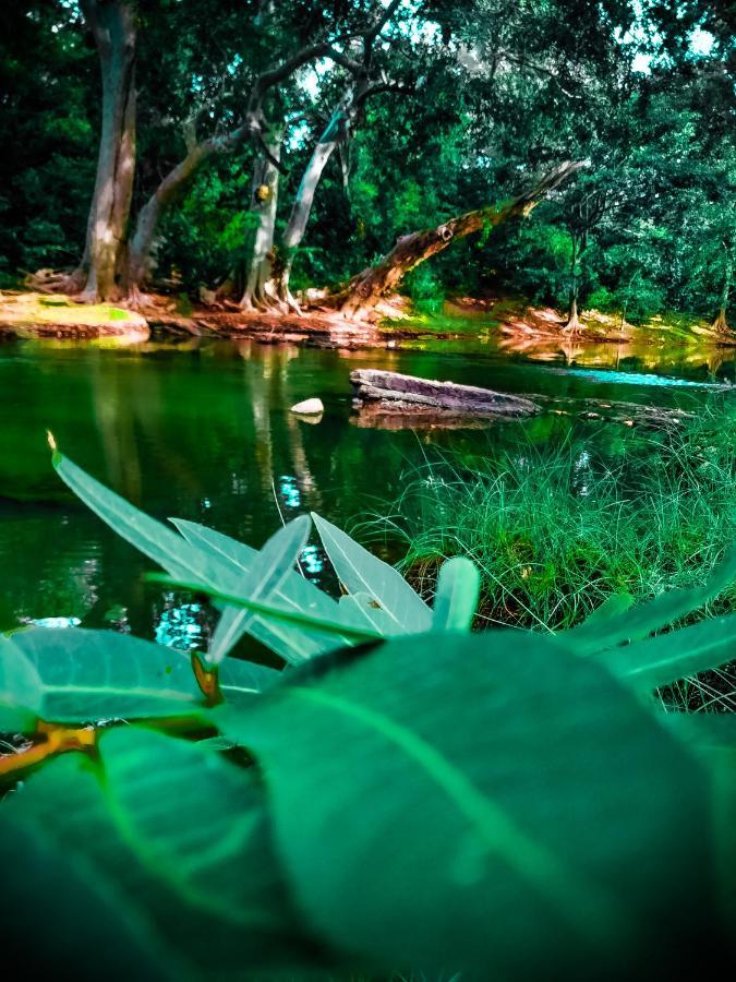 Lake Front Yala Safari Катарагама Экстерьер фото