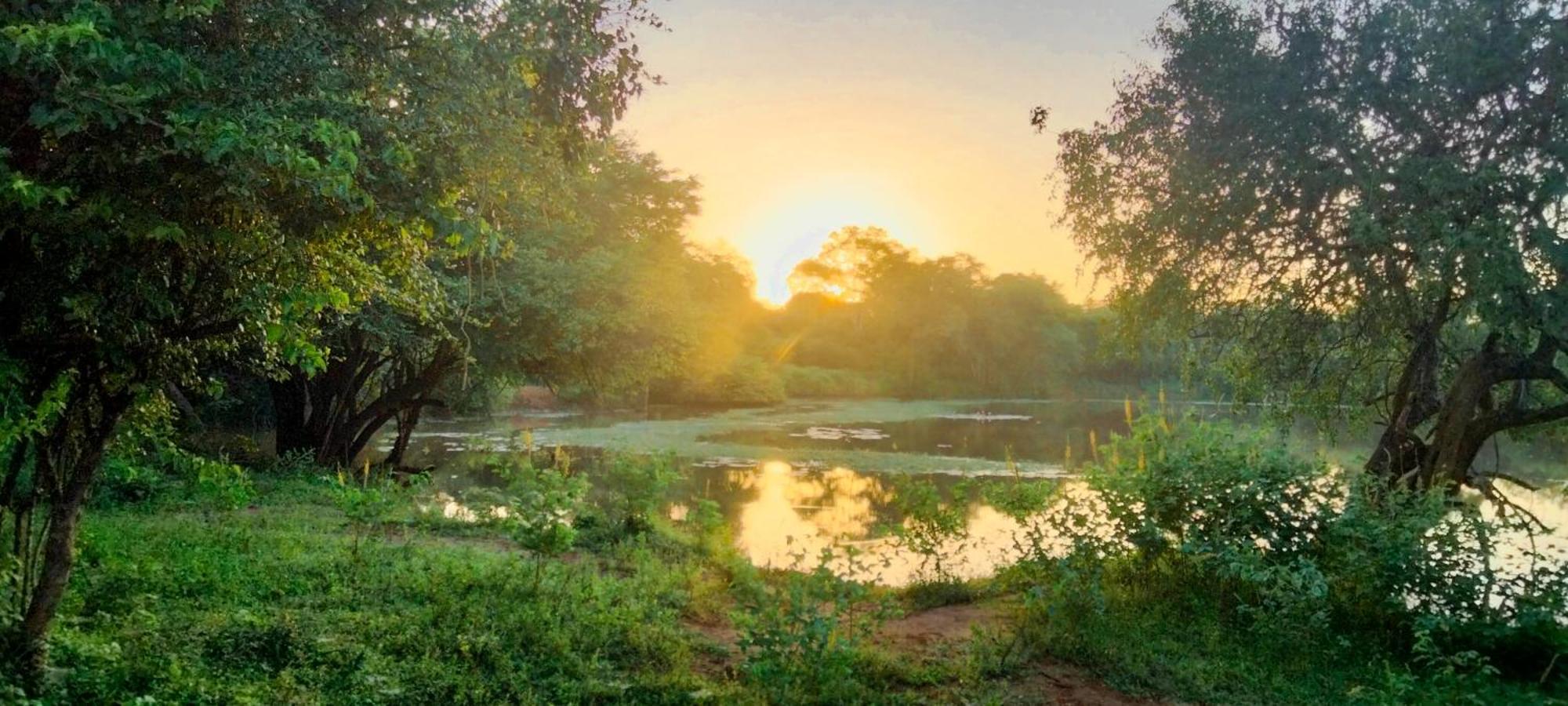 Lake Front Yala Safari Катарагама Экстерьер фото